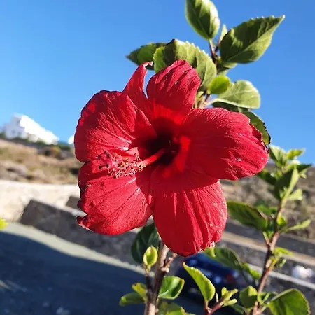 מלון דירות Dolce Vista - Sea View